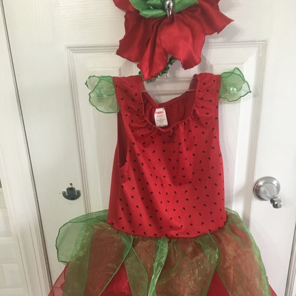 Gymboree Other - Gymboree Ladybug Princess Costume